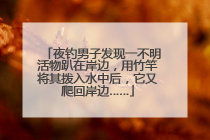 夜钓男子发现一不明活物趴在岸边，用竹竿将其拨入水中后，它又爬回岸边……