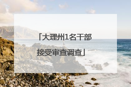 大理州1名干部接受审查调查