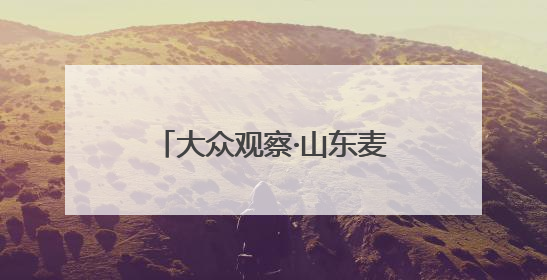 大众观察·山东麦收一线丨“一块田”打开产粮新空间