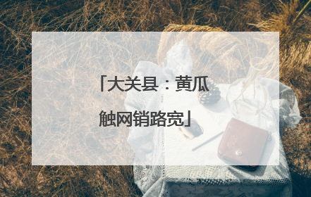 大关县：黄瓜触网销路宽