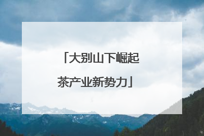 大别山下崛起茶产业新势力