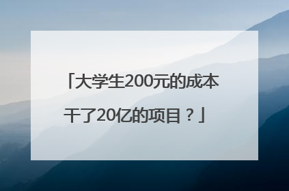 大学生200元的成本干了20亿的项目？
