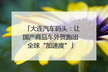 大连汽车码头：让国产商品车外贸跑出全球“加速度”