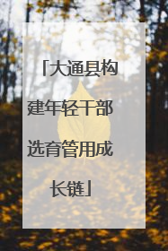 大通县构建年轻干部选育管用成长链