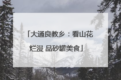 大通良教乡：看山花烂漫 品砂罐美食