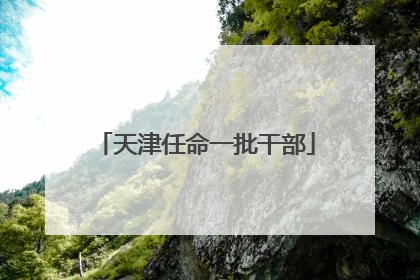 天津任命一批干部