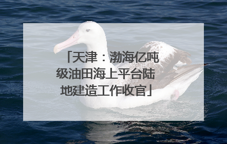 天津：渤海亿吨级油田海上平台陆地建造工作收官