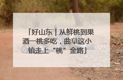 好山东｜从鲜桃到果酒一桃多吃，曲阜这小镇走上“桃”金路