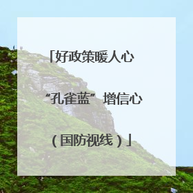 好政策暖人心 “孔雀蓝”增信心（国防视线）