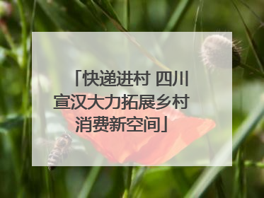 快递进村 四川宣汉大力拓展乡村消费新空间