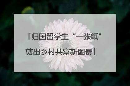 归国留学生“一张纸”剪出乡村共富新图景