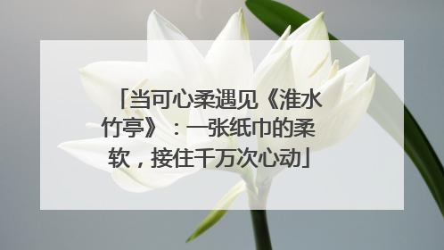 当可心柔遇见《淮水竹亭》：一张纸巾的柔软，接住千万次心动