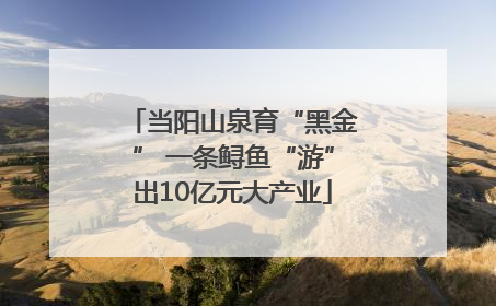 当阳山泉育“黑金” 一条鲟鱼“游”出10亿元大产业