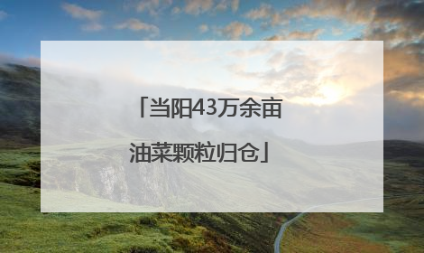 当阳43万余亩油菜颗粒归仓