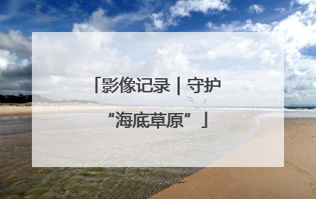 影像记录｜守护“海底草原”