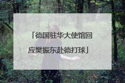 德国驻华大使馆回应樊振东赴德打球