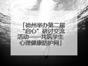 德州举办第二届“启心”研讨交流活动——共筑学生心理健康防护网