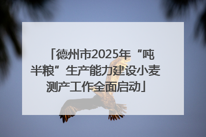 德州市2025年“吨半粮”生产能力建设小麦测产工作全面启动