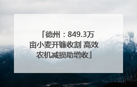 德州：849.3万亩小麦开镰收割 高效农机减损助增收