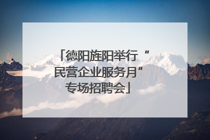 德阳旌阳举行“民营企业服务月”专场招聘会