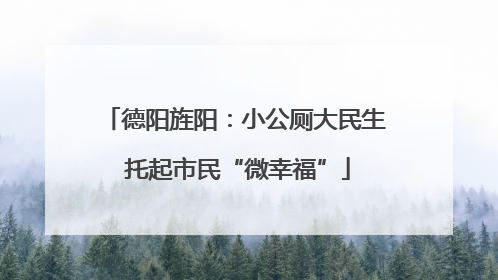 德阳旌阳：小公厕大民生 托起市民“微幸福”