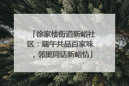 徐家楼街道新峪社区：端午共品百家味，邻里同话新峪情