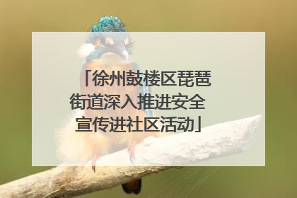 徐州鼓楼区琵琶街道深入推进安全宣传进社区活动