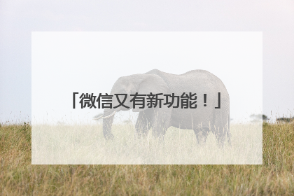 微信又有新功能！