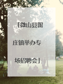 微山县留庄镇举办专场招聘会