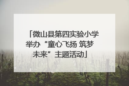 微山县第四实验小学举办“童心飞扬 筑梦未来”主题活动