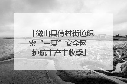 微山县傅村街道织密“三夏”安全网 护航丰产丰收季