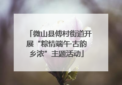 微山县傅村街道开展“粽情端午·古韵乡浓”主题活动
