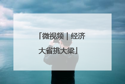 微视频｜经济大省挑大梁