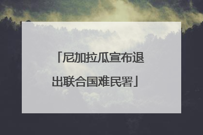 尼加拉瓜宣布退出联合国难民署