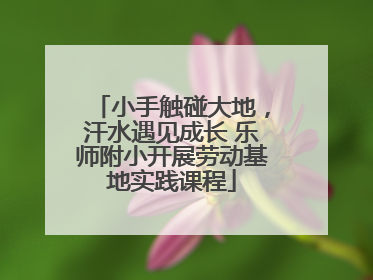 小手触碰大地，汗水遇见成长 乐师附小开展劳动基地实践课程