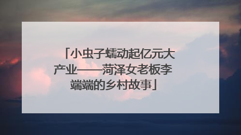 小虫子蠕动起亿元大产业——菏泽女老板李端端的乡村故事