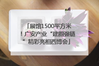 展馆1500平方米！广安产业“建圈强链”精彩亮相西博会