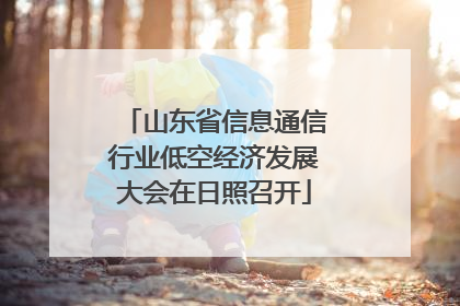 山东省信息通信行业低空经济发展大会在日照召开