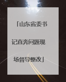 山东省委书记直奔问题现场督导整改