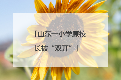 山东一小学原校长被“双开”