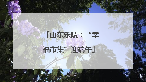 山东乐陵：“幸福市集”迎端午