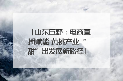 山东巨野：电商直播赋能 黄桃产业“甜”出发展新路径