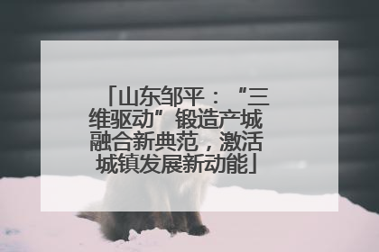 山东邹平：“三维驱动”锻造产城融合新典范，激活城镇发展新动能