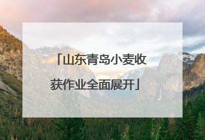 山东青岛小麦收获作业全面展开
