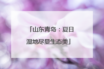 山东青岛：夏日湿地尽显生态美