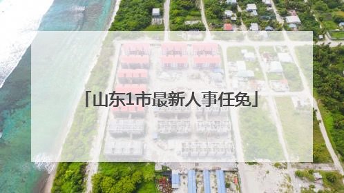 山东1市最新人事任免