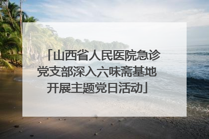 山西省人民医院急诊党支部深入六味斋基地开展主题党日活动