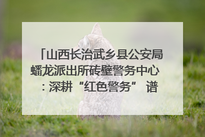 山西长治武乡县公安局蟠龙派出所砖壁警务中心：深耕“红色警务” 谱写“平安答卷”