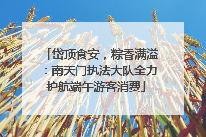 岱顶食安，粽香满溢：南天门执法大队全力护航端午游客消费