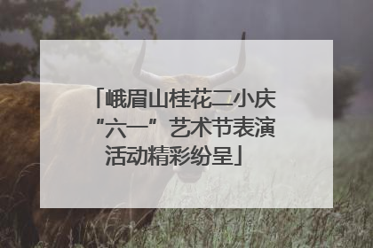 峨眉山桂花二小庆“六一”艺术节表演活动精彩纷呈